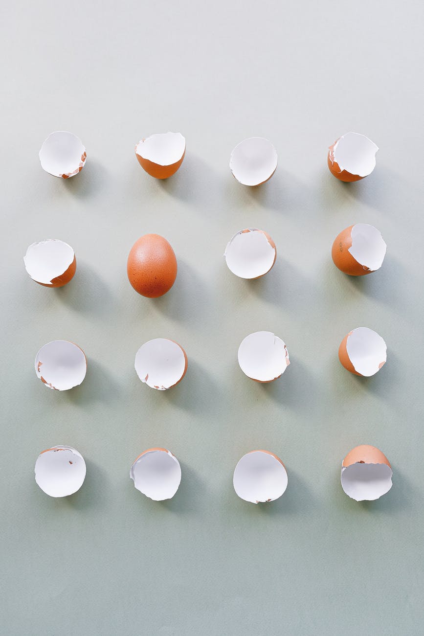 Structure of Egg, shell, foodtech101