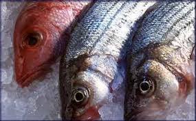Fish Spoilage, Chemical spoilage